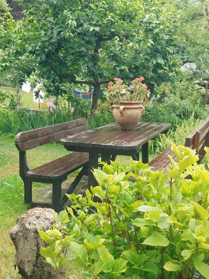 Apartma Raft, Bovec Esterno foto